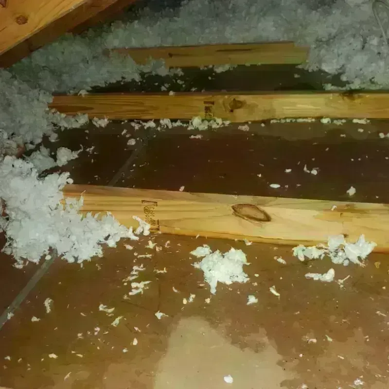 Attic Water Damage in Holdenville, OK