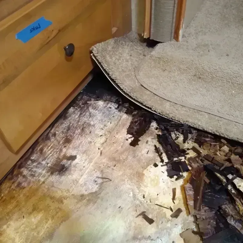 Best Wood Floor Water Damage Service in Holdenville, OK